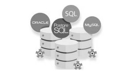 MySQL Database Development
