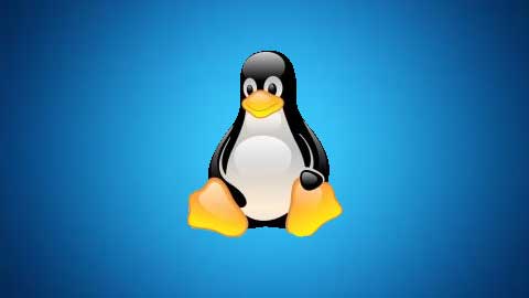 Basics of Linux