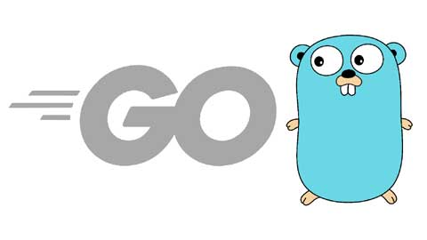 Certificate in Go Language