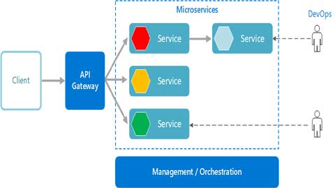 Basics of Microservices Architecture