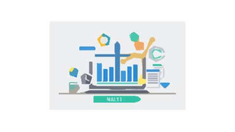 Certified Marketing Analytics: Forecasting Models with Excel