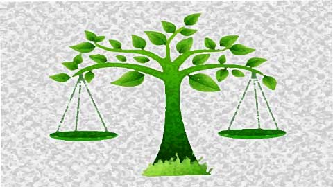 Certificate in Environmental Law