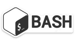 Linux BASH - shell scripting