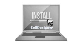 CellDesigner