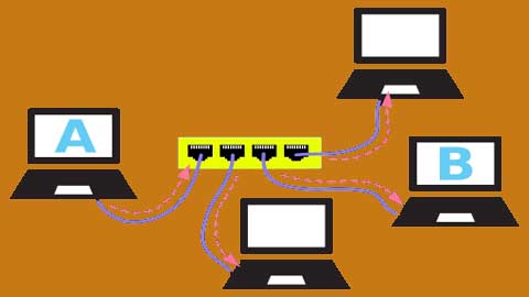 Network Basics