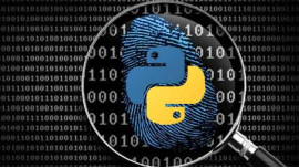 Python Digital Forensics