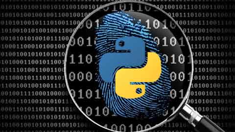 Python Digital Forensics