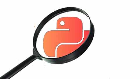 The Python Spy