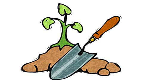 Certificate in Hotriculture