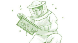 Certificate in Bee Keeping