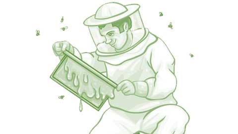 Certificate in Bee Keeping