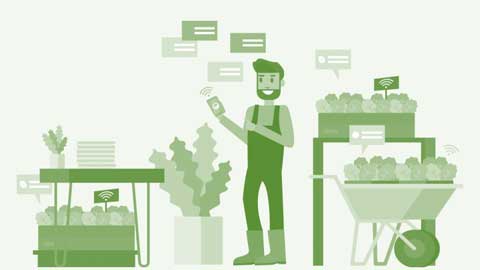 Certificate in Farm Management