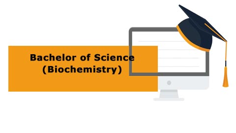Bachelor of Science - Biochemistry Bachelor of Science - Biochemistry
