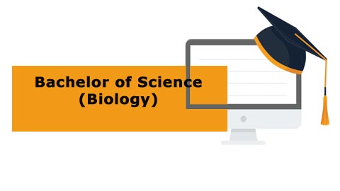 Bachelor of Science - Biology Bachelor of Science - Biology
