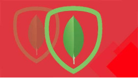 MongoDB from Basics to Advanced