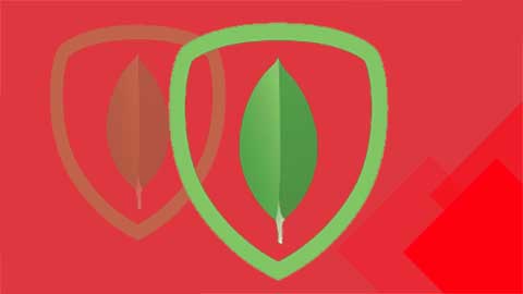 MongoDB from Basics to Advanced