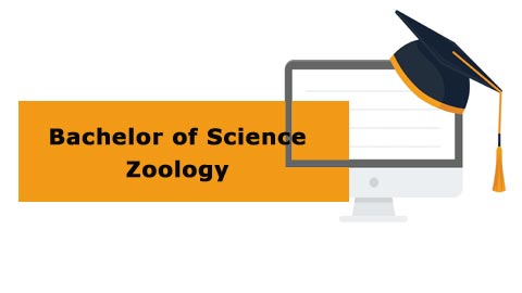 Bachelor of Science - Zoology Bachelor of Science - Zoology
