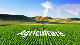 Certificate in Agriculture